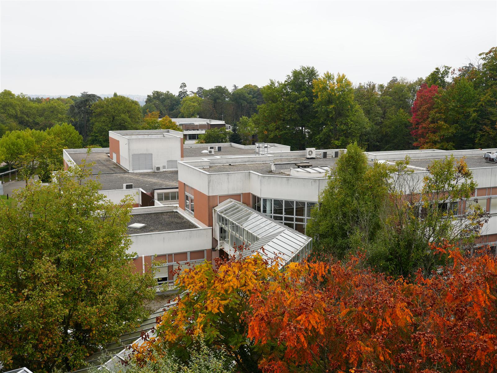 Vue du site arboré